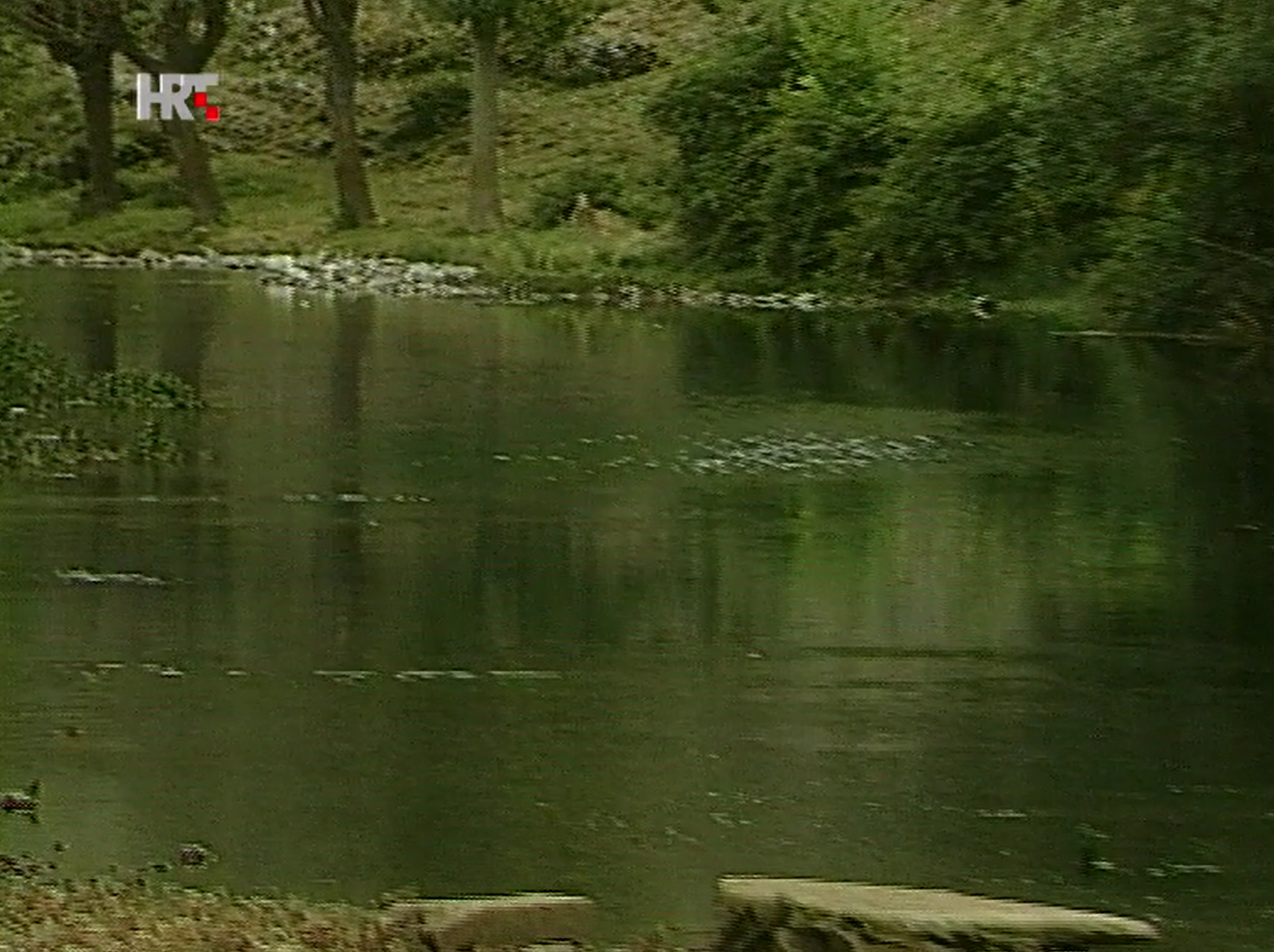 Ne daj se Cetino