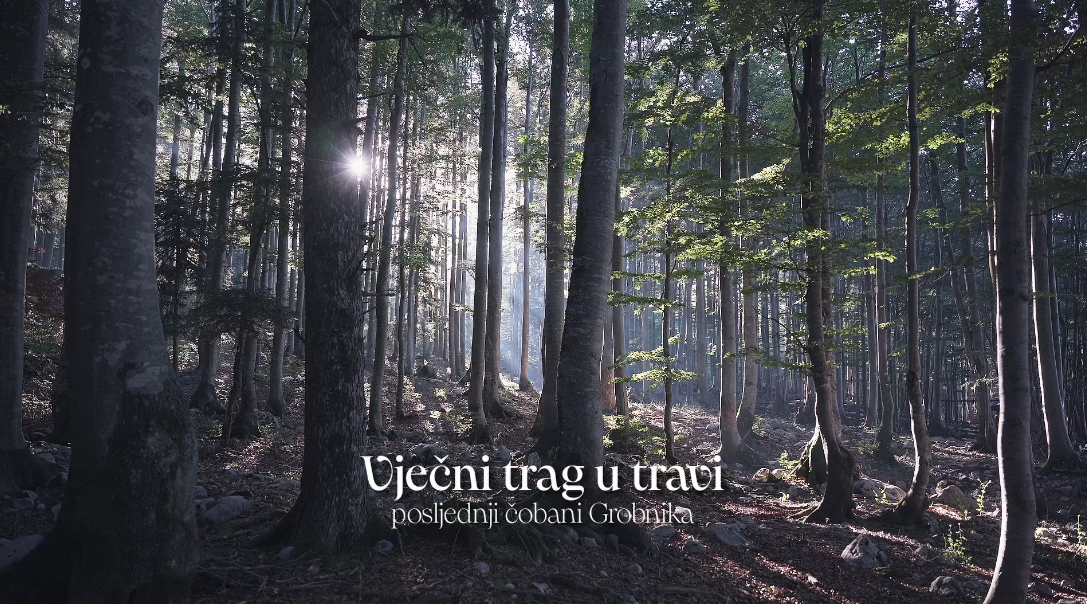 Vječni trag u travi