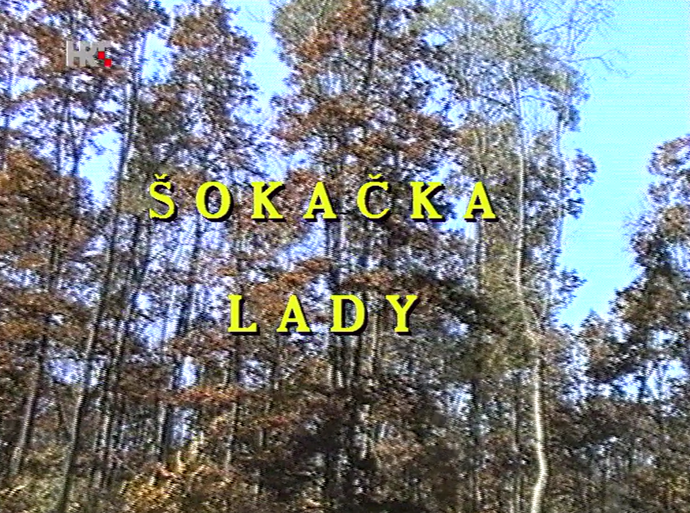 Šokačka lady
