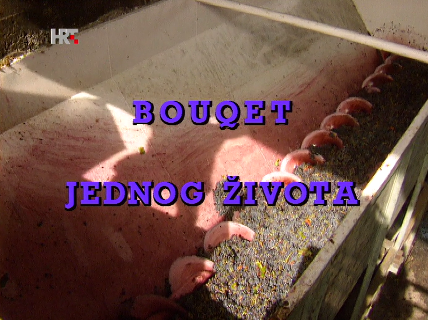 Bouqet jednog života