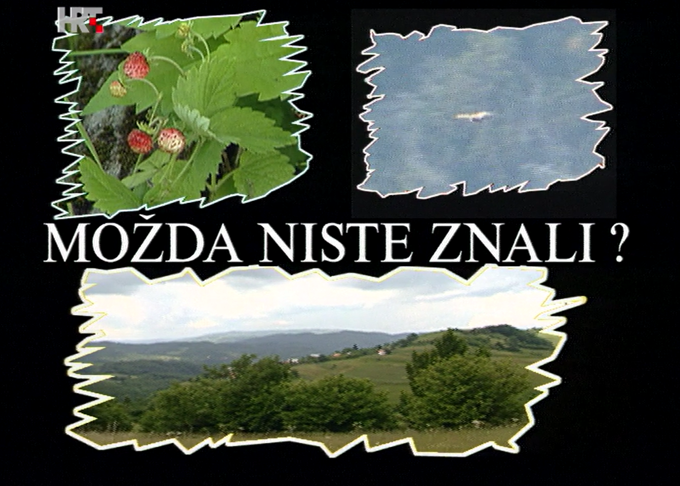 Možda niste znali - Bjeloglavi sup