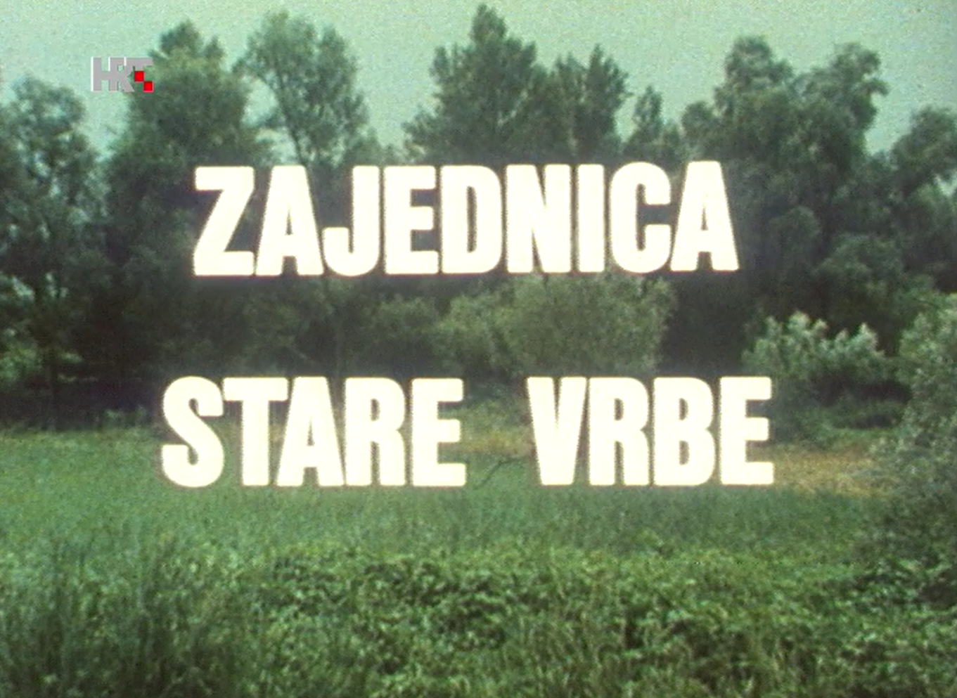 Zajednica stare vrbe