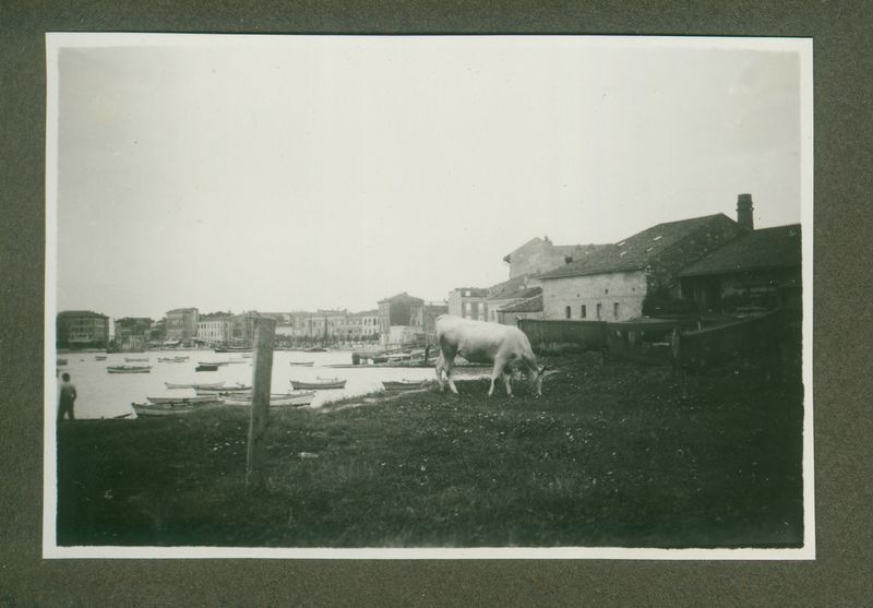 Panorama Poreča