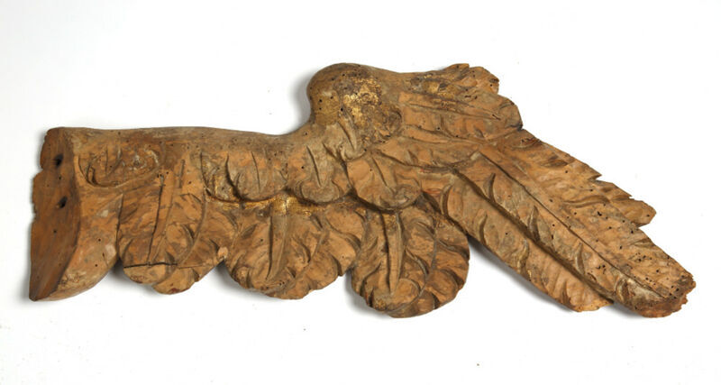 Fragment - anđeosko krilo