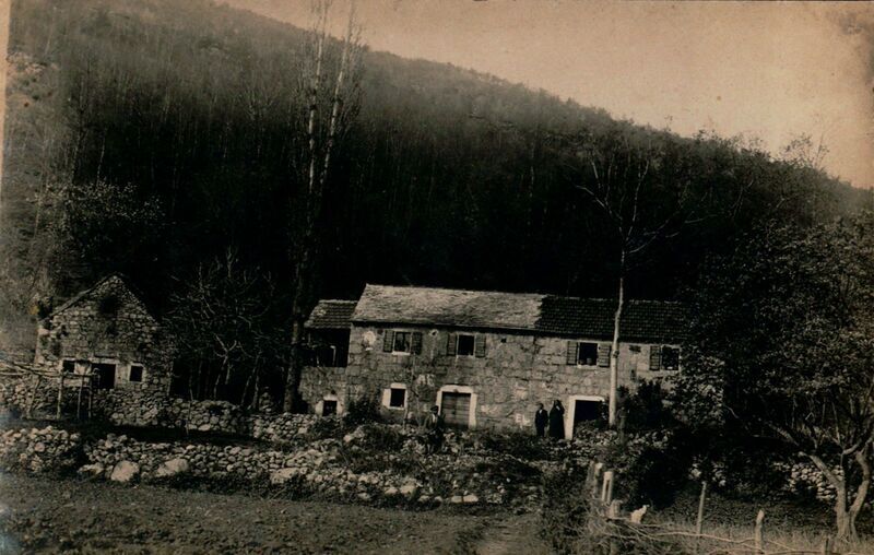 Staje