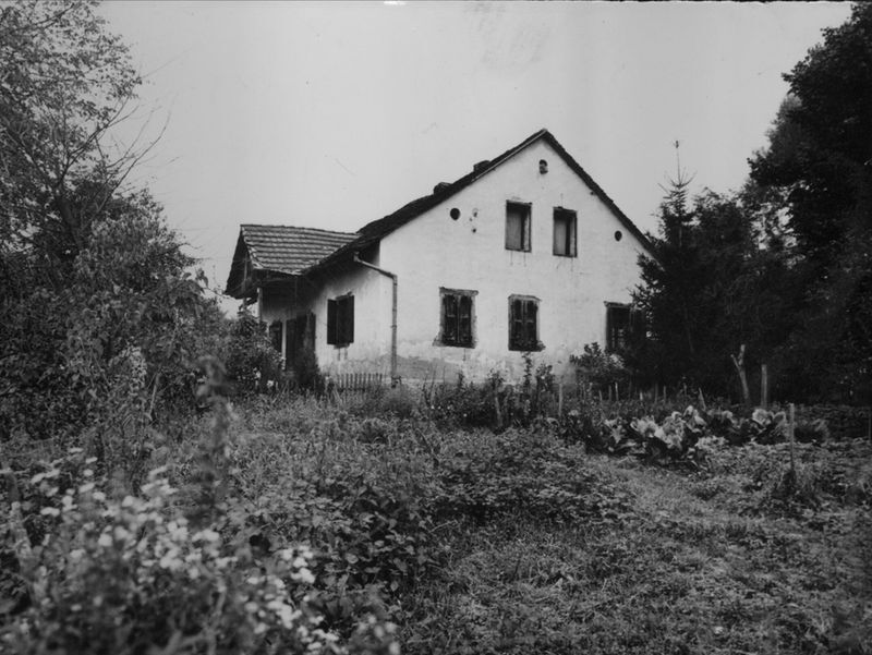 Krivaj Sunjski (Sunja) - Kuća kbr. 3, situacija, vlasnik Josip Bitner