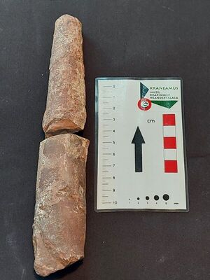 Nautiloid Orthoceras