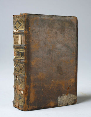 Series Restitutionis in genere, & specie...authore P.F. Ange
