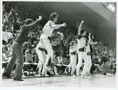 Cibona-Bosna