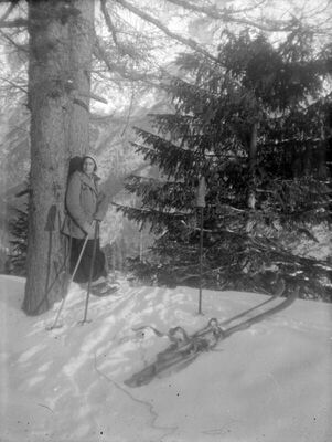 Podkoren - Jelka na skijama