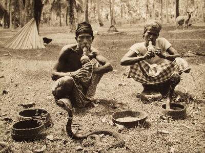 Krotitelji zmija, Sri Lanka, 1955.