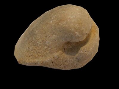 Isocardia