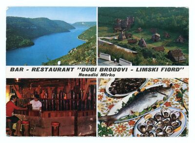 Bar - restaurant "Dugi brodovi - Limski fiord"