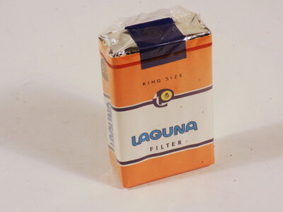 Laguna filter
