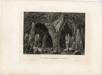 Der grosse Adelsberger Grotte