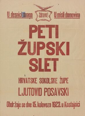 V. župski slet sokolske župe Ljutovid Posavski u Kostajnici