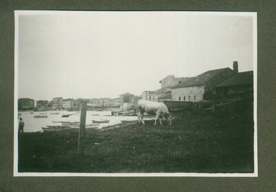 Panorama Poreča