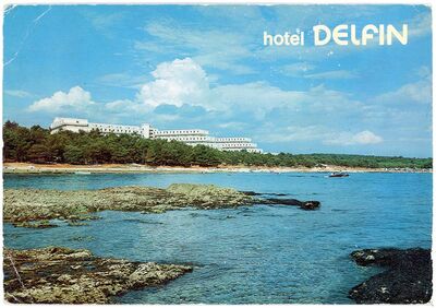 Hotel Delfin