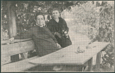 Mücke Marijana