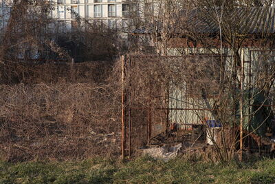 Travno - vrtovi 6