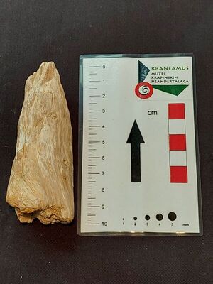 Silicizirano drvo