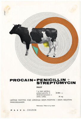 Pliva Procain - Penicillin + Streptomycin