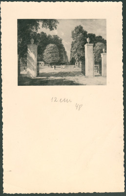 Maksimir