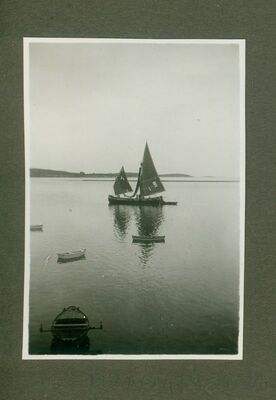 Jedrenjaci