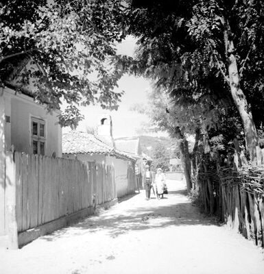 Seoska cesta