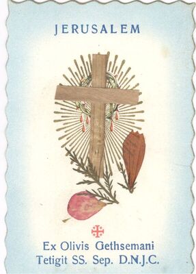 Jerusalem / Ex Olivis Gethsemani