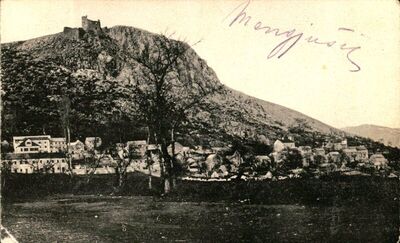 Panorama grada Vrlike