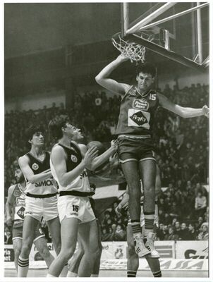 Franjo Arapović