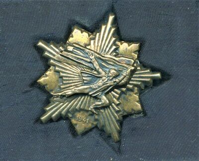 Spomenica 1941. godine