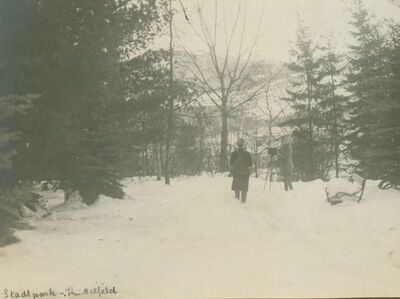 Gradski park Knittelfeld