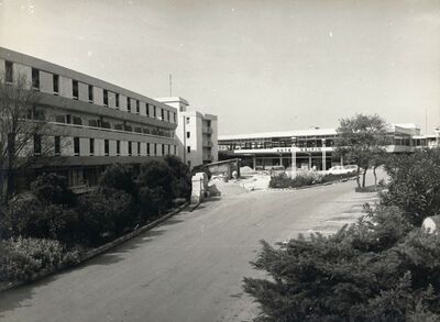 Hotel Delfin