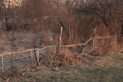 Travno - vrtovi 2