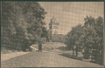 Maksimir