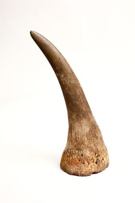 Rog (oružje)