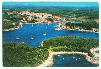 Anita Vrsar