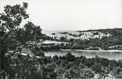 Zelena laguna