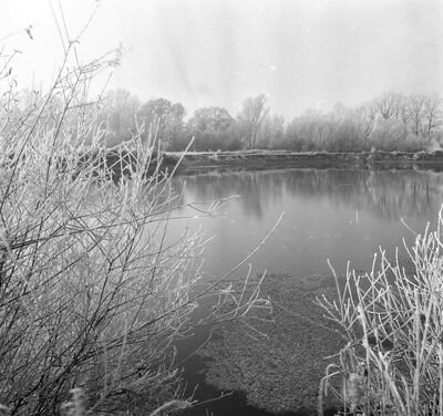 Album 07 str.141