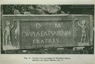 Sarkofag Oppie Sabine