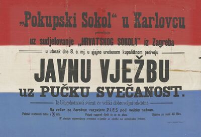 Javna vježba Pokupskog sokola u Karlovcu