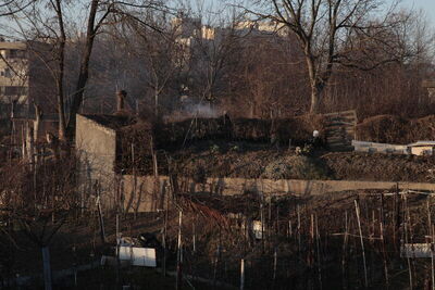 Travno - vrtovi 3