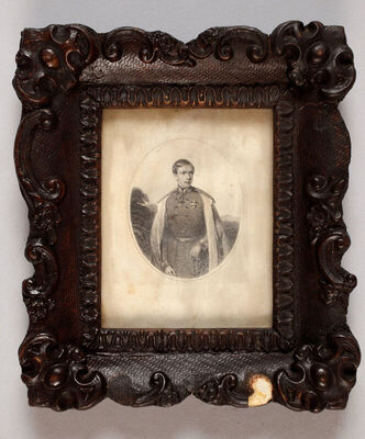 Mladi Franjo Josip I