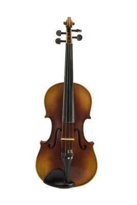 Violina