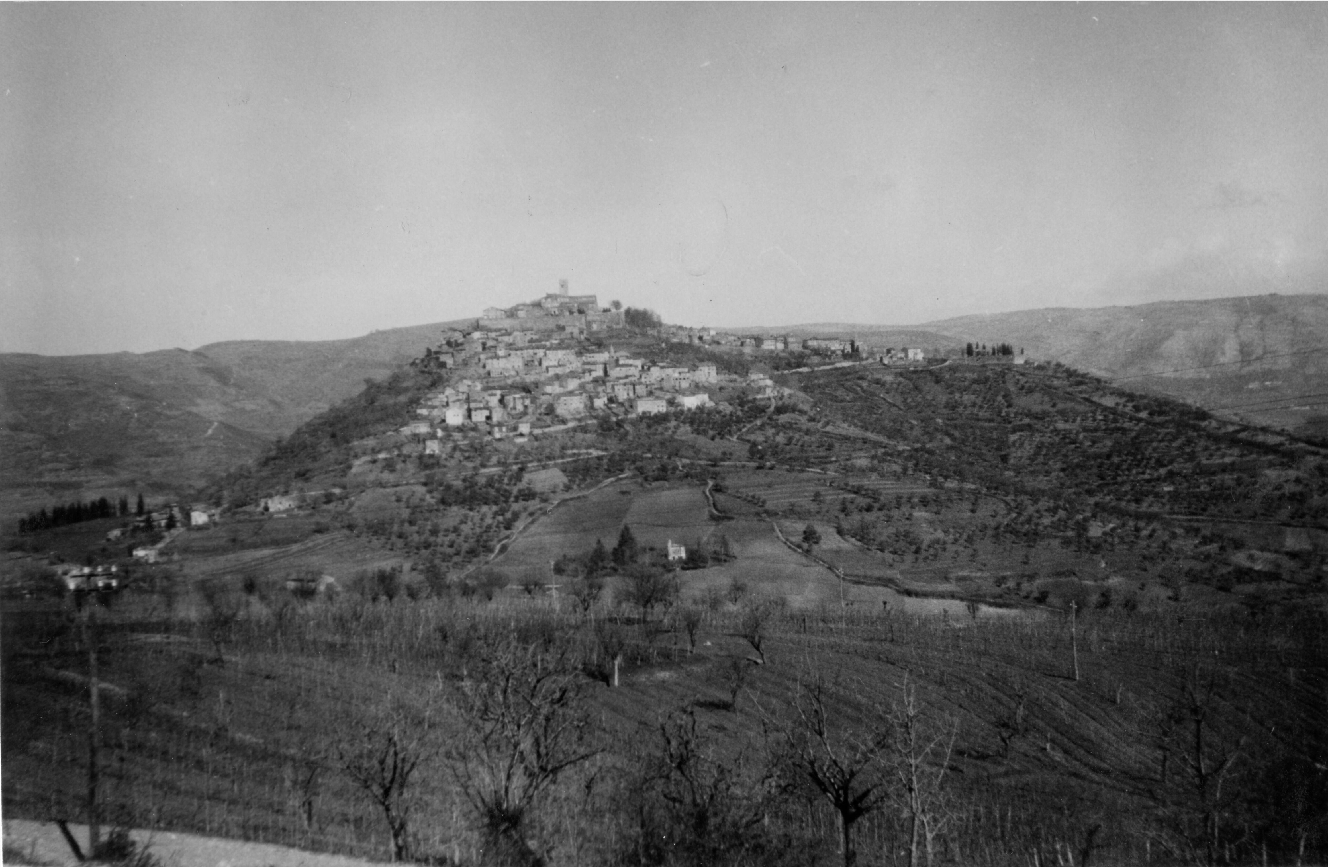 Branko Fučić, Motovun, panorama