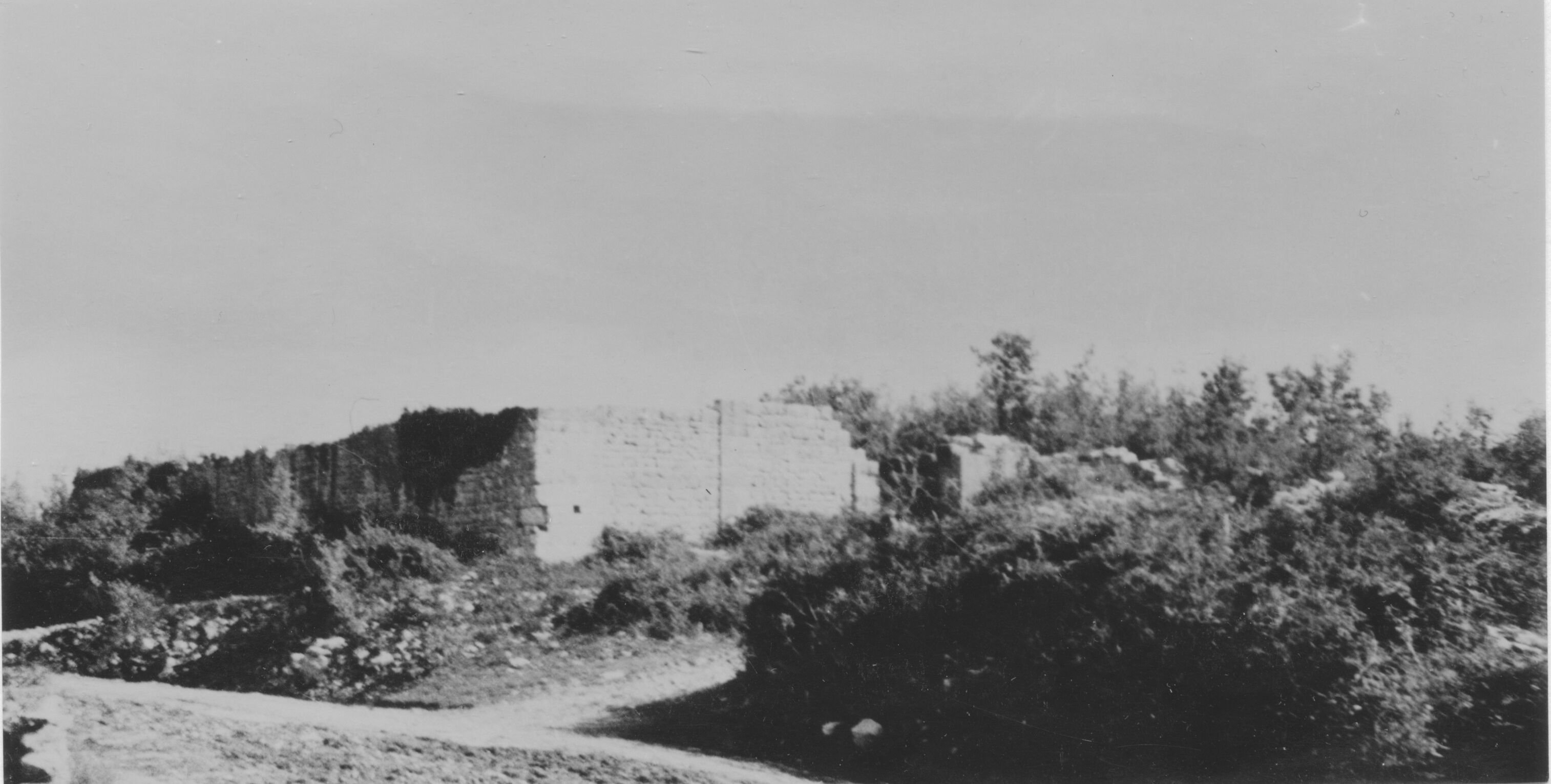 Branko Fučić, Sveta Petronila (Kanfanar), ruševine romaničke benediktinske crkve