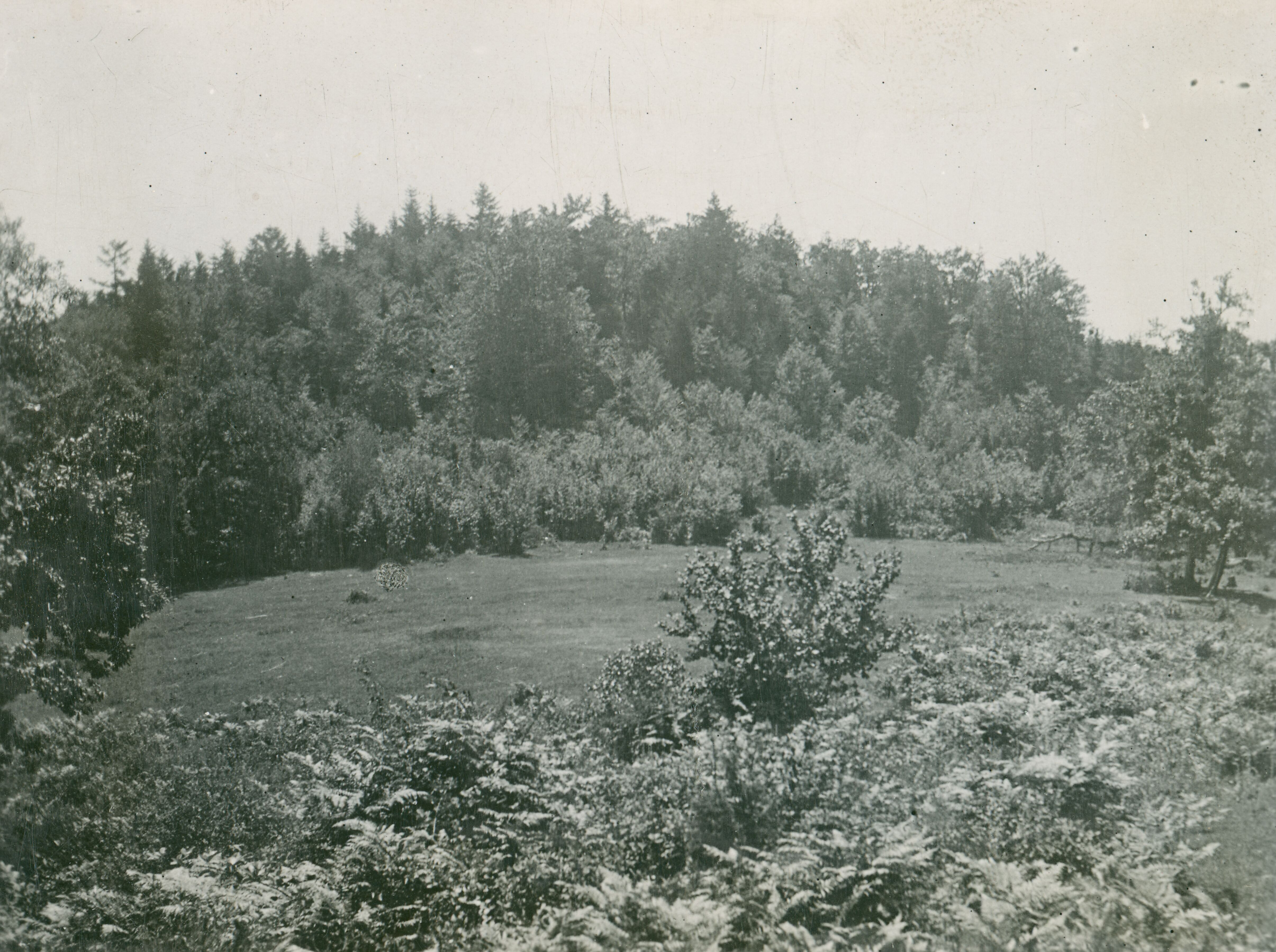 Većeslav Henneberg, Medvednica - Gradišće iznad Vitelnice