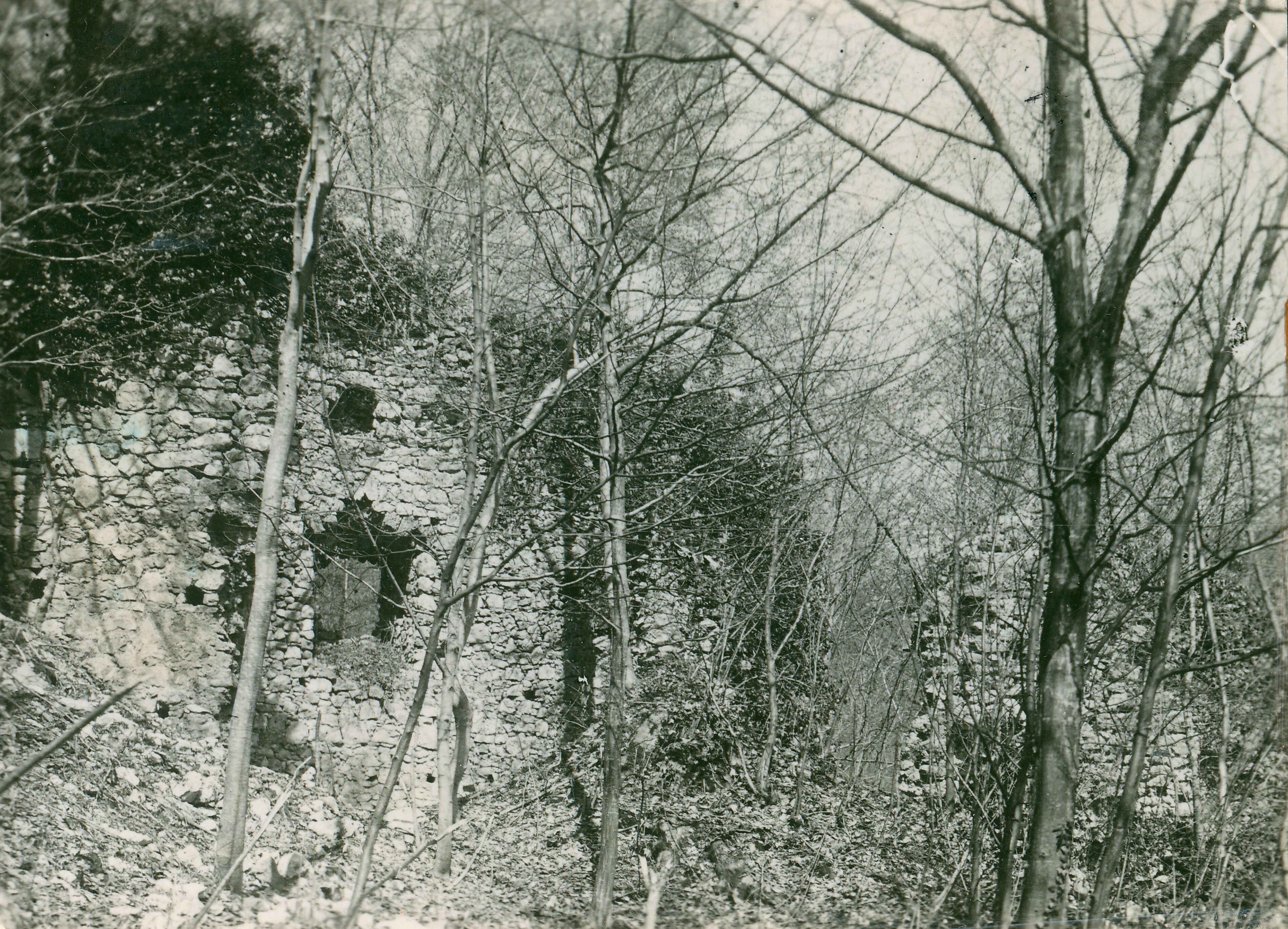 Većeslav Henneberg, Zelingrad - Grad srednjovjekovni, ulaz s unutarnje strane